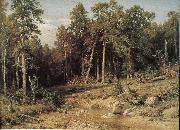unknow artist Vyatka Province, the pine forests oil painting reproduction
